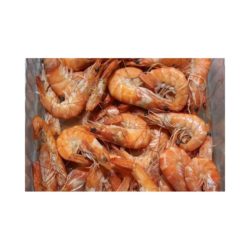 Crevettes sauvage