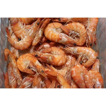 Crevettes sauvage