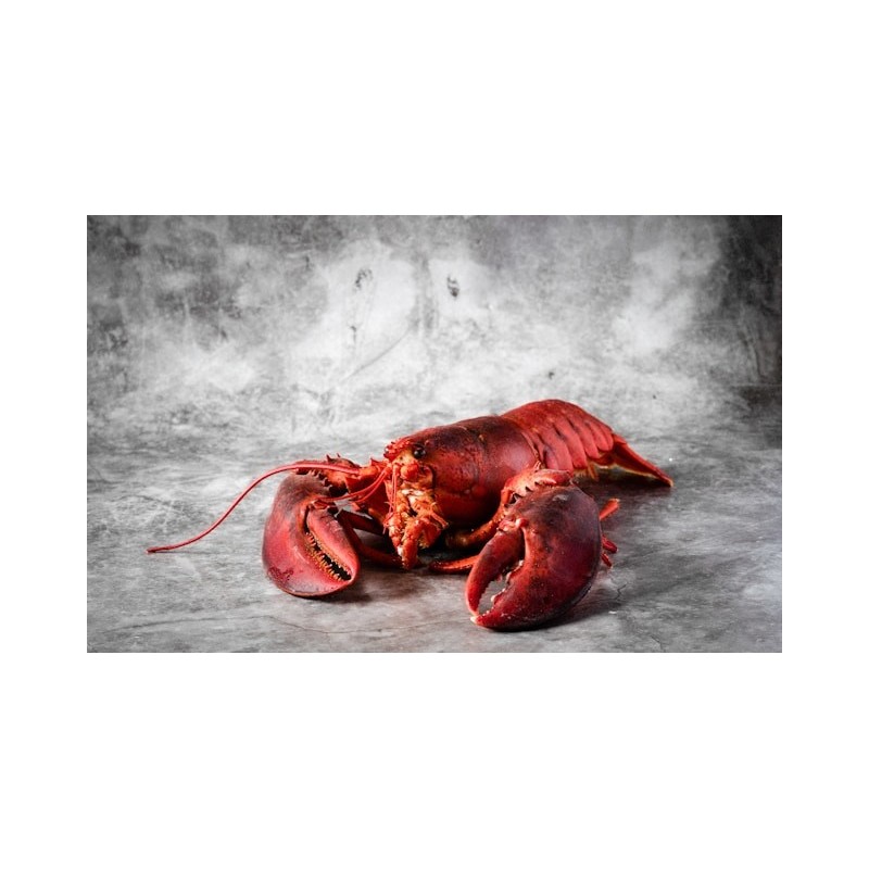 Homard Breton